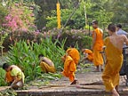 Monks at work, Chiang Mai