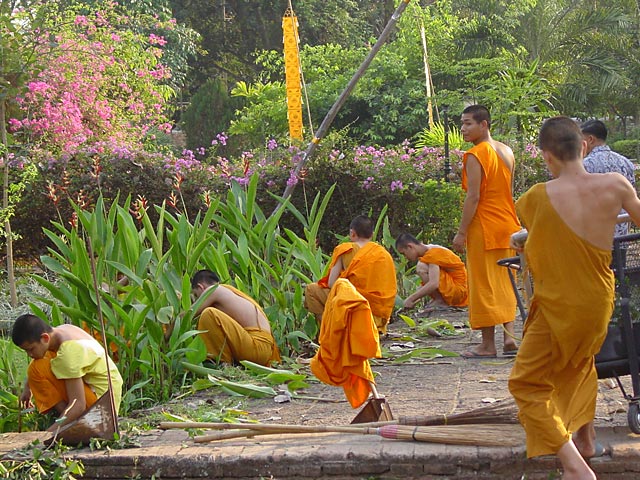 Monks at work near Chiang Mai