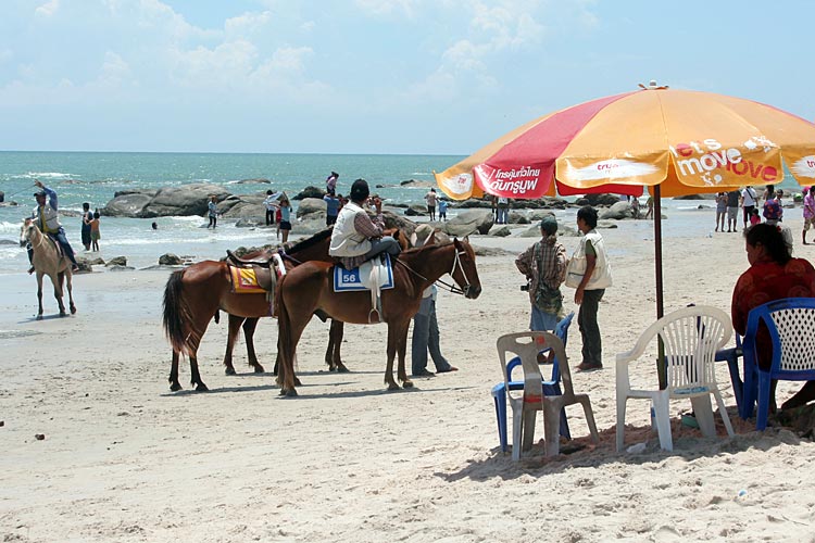 Horses on the beach at Hua Hin