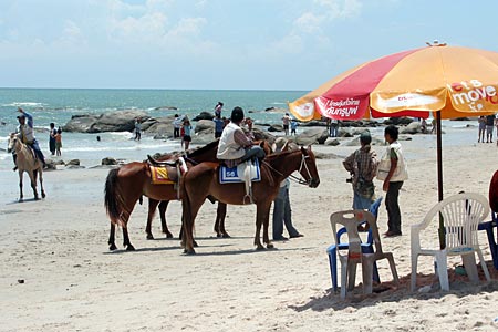 Horses and Ponies on the Beach, Hua Hin